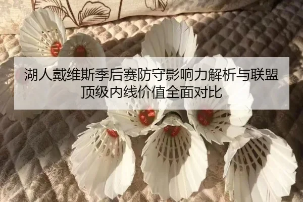 湖人戴维斯季后赛防守影响力解析与联盟顶级内线价值全面对比（leyu）