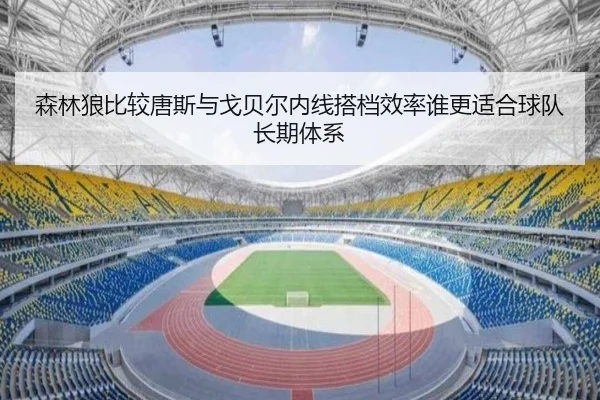 森林狼比较唐斯与戈贝尔内线搭档效率谁更适合球队长期体系 - leyu